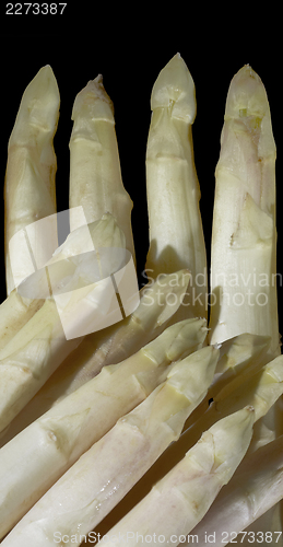 Image of Asparagus