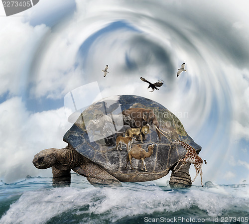 Image of World Turtle Concept