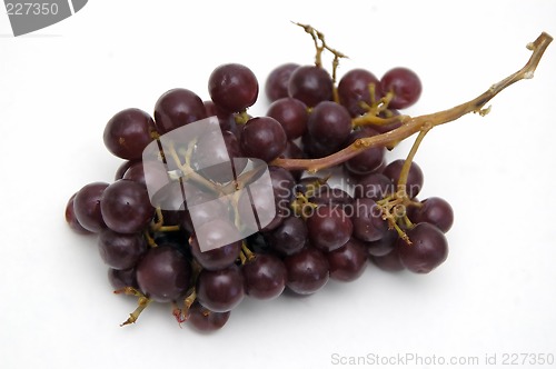 Image of Bunch of Grapes