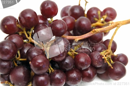 Image of Bunch of Grapes