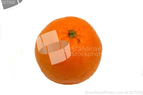 Image of Orange