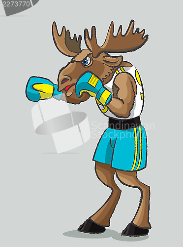 Image of Elk - boxer