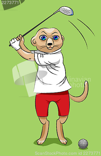 Image of Surikata - the golfer