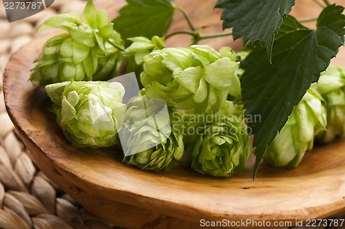 Image of Hop cone and leaves