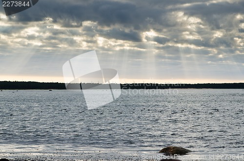 Image of Sandy coast of Baltic sea