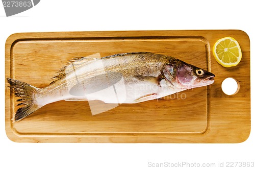 Image of Pike perch on a wooden kitchen board, it is isolated on white