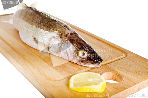 Image of Pike perch on a wooden kitchen board, it is isolated on white