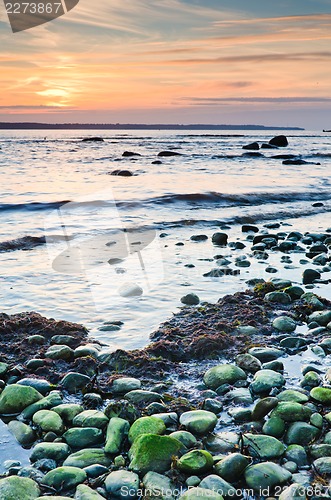 Image of Coast of the Baltic Sea at sunset