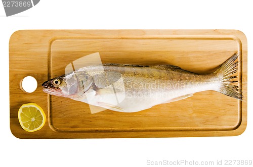 Image of Pike perch on a wooden kitchen board, it is isolated on white