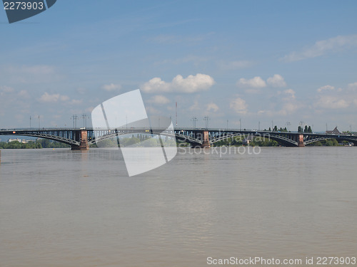 Image of Rhine river in Mainz