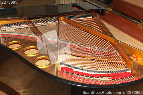 Image of Piano black with a raised lid