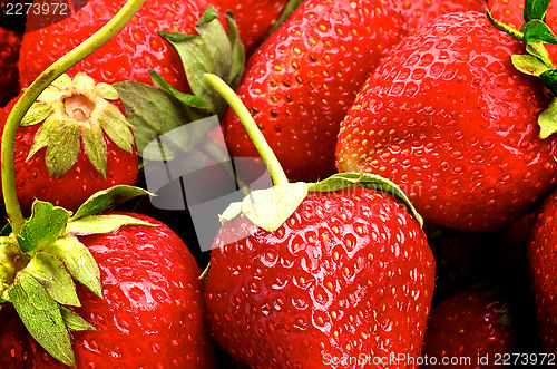 Image of Strawberries Background