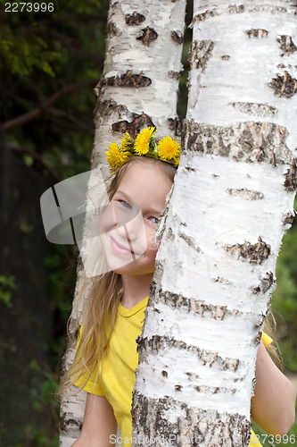 Image of  little girl standing among birch trunks
