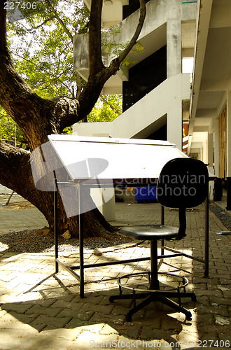 Image of Drawing under the tree