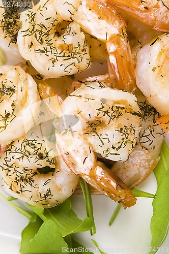 Image of Fresh grilled shrimps on white plate