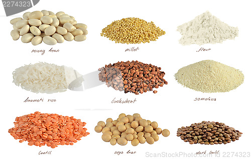 Image of Food collection