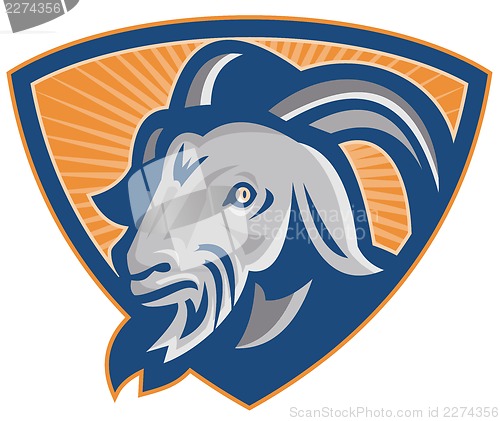 Image of Ram Mountain Goat Shield
