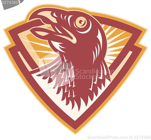 Image of Hawk Falcon Bird Head Shield