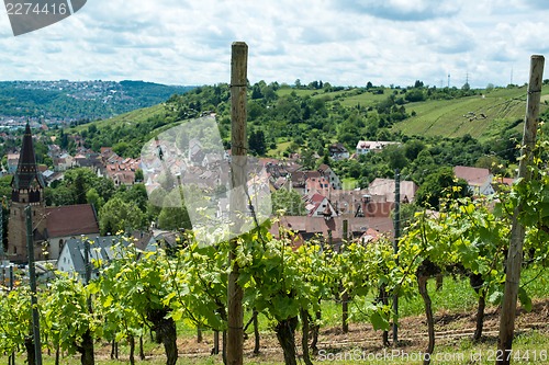 Image of Vineyard in Uhlbach