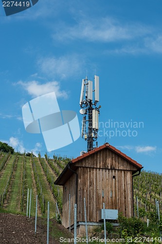 Image of Telecommunication mast in a vineyard