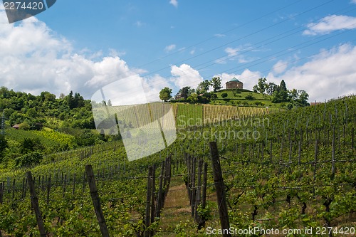 Image of Vineyard and Chapel