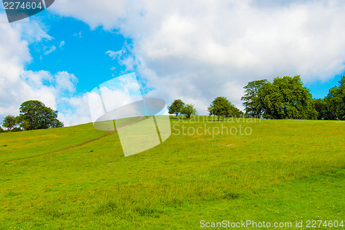 Image of Primrose Hill, London