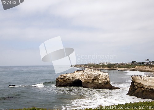 Image of Big Sur