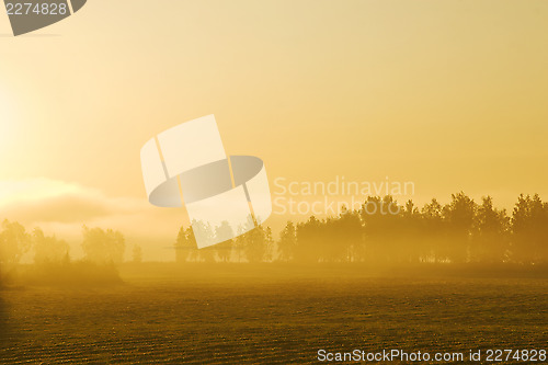 Image of Misty morning