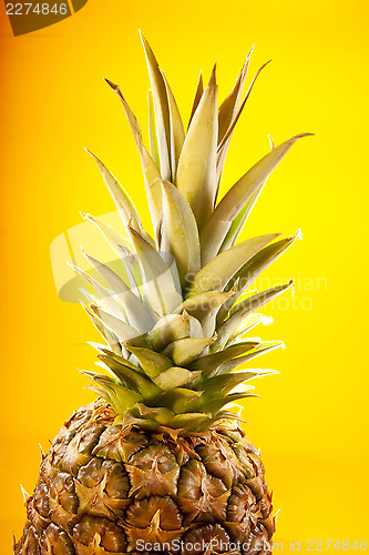 Image of Golden pineapple