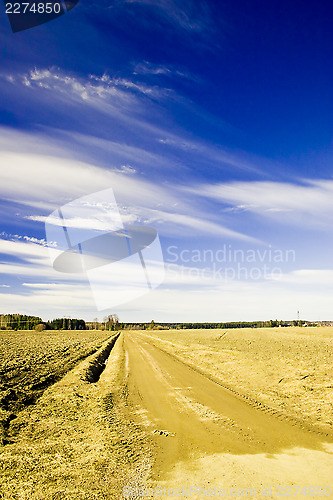 Image of Country road