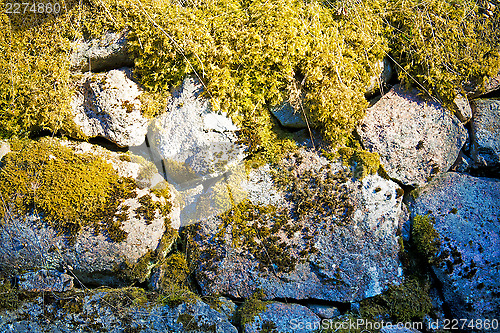 Image of Rocks covered by moss
