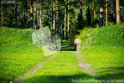 Image of Pathway to forest