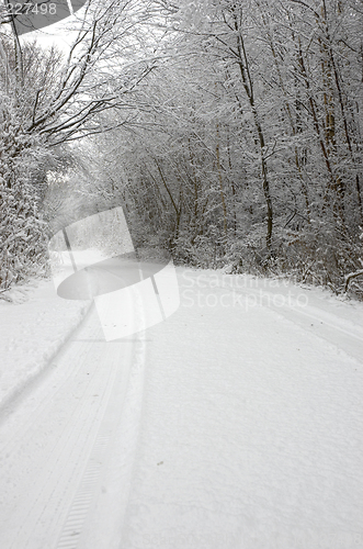 Image of Winter wonderland