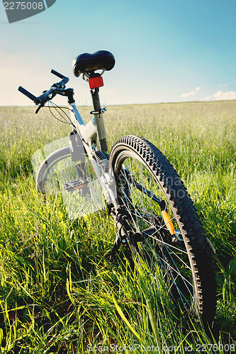 Image of bike parked in a meadow