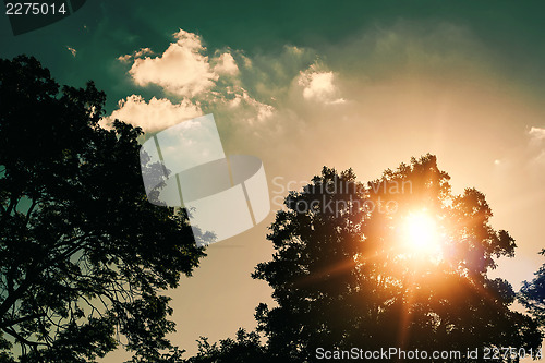 Image of sunset over tree with sky and clouds