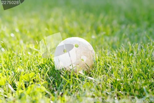 Image of floorbal ball in green grass