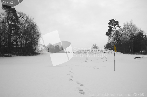 Image of Hole in snow