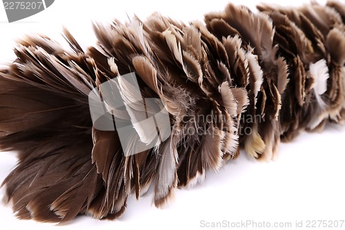 Image of Brown feather duster