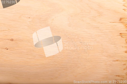 Image of Natural Oak Wood Texture