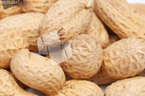 Image of Background of big peanuts