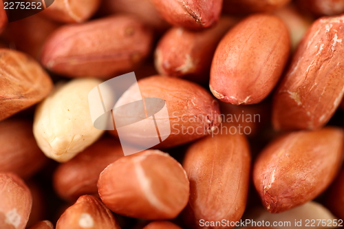 Image of Extreme close-up image of peanuts