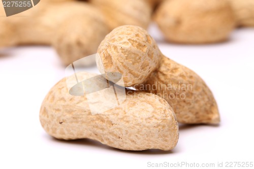 Image of Three peanuts in closeup