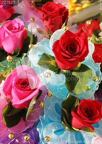 Image of Multi-colored roses