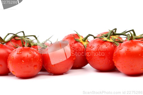 Image of Two Cluster of Tomatoes