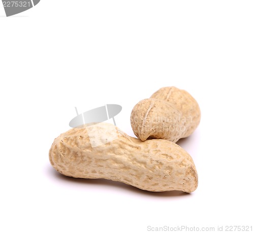 Image of Two pods of peanuts