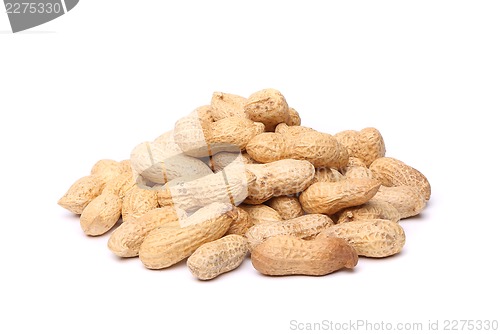 Image of Dried peanuts in closeup