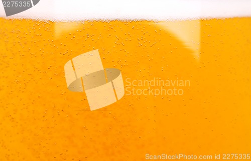 Image of Light beer background