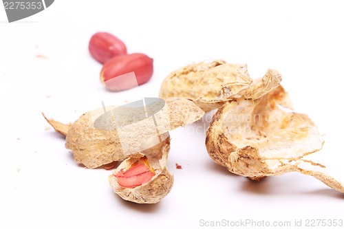 Image of peanuts peel isolated on white background