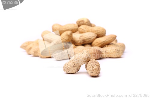 Image of Two peanuts in closeup