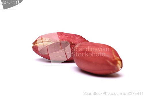 Image of Two kernels of peanut